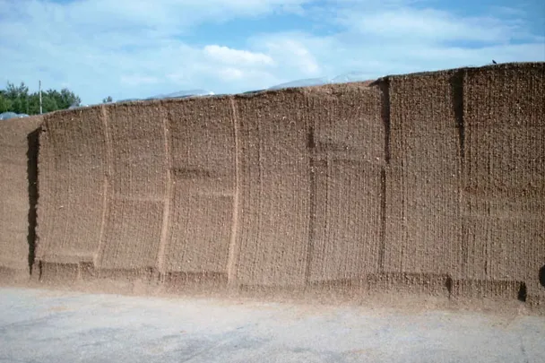 Maissilo