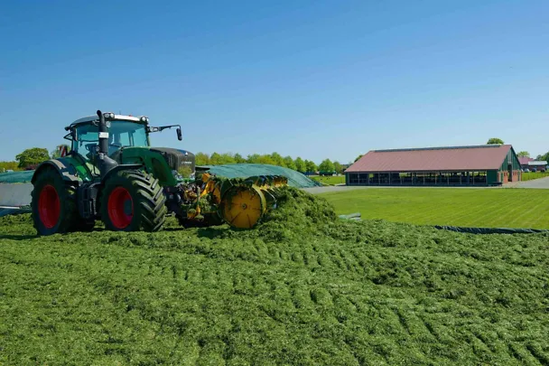 Grassilierung